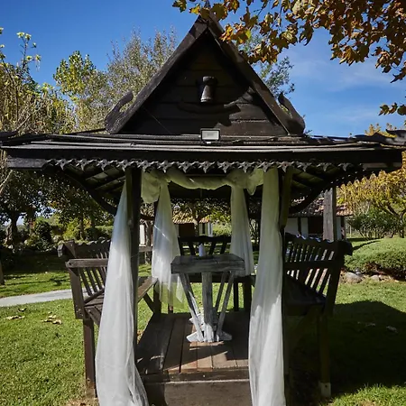 ホテル El Mirlo Blanco