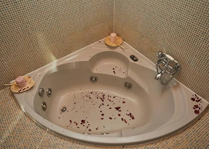 호텔 El Mirlo Blanco