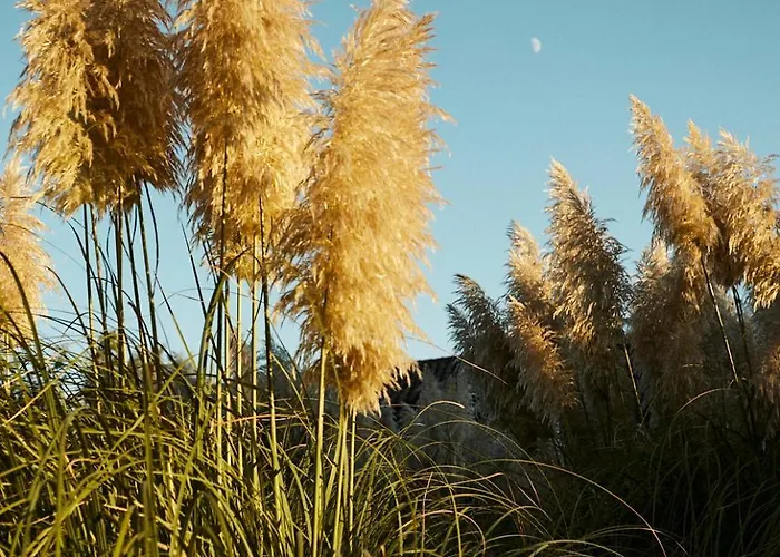 호텔 El Mirlo Blanco