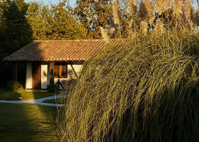 Szálloda El Mirlo Blanco 3*